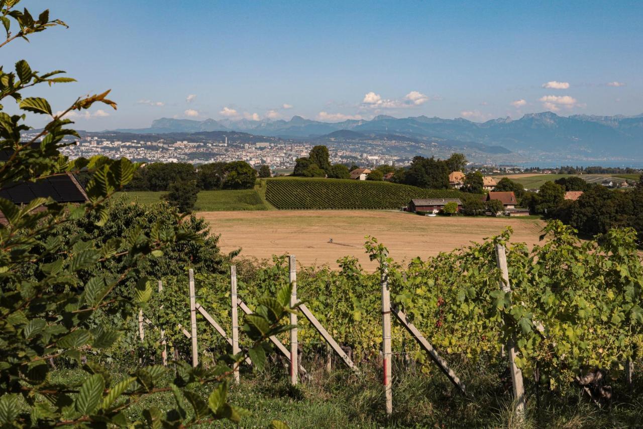 Apartament Les Volets Bleus Morges Zewnętrze zdjęcie